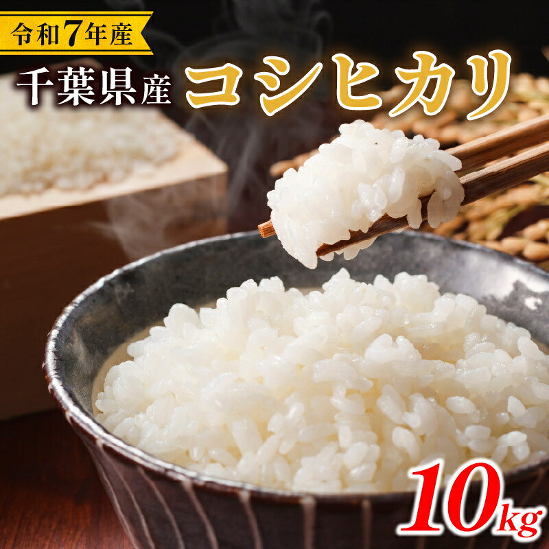 【ふるさと納税】 令和7年 コシヒカリ 10kg こしひかり 米 コメ お米 こめ 白米 精米 ご飯 ごはん ライス R7米 R7 7年産 令和7年産 kome 2025 国産 千葉県産 備蓄 防災 産地直送 送料無料 お弁当 おにぎり 千葉県 旭市 株式会社いてつ