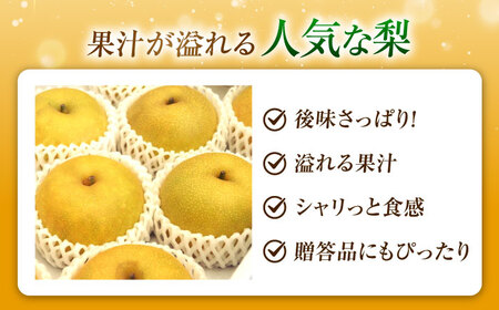 尾形農園のなつしずく梨 5～6玉入り 〈2026年8月～発送〉 ／ フルーツ 果物 くだもの 食品 人気 おすすめ 送料無料 梨 なし なつしずく梨 季節のフルーツ 【株式会社内子フレッシュパークから