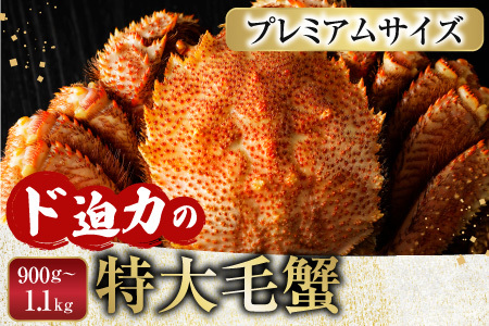 ボイル毛がに900g～1.1kg×1尾 F-11029