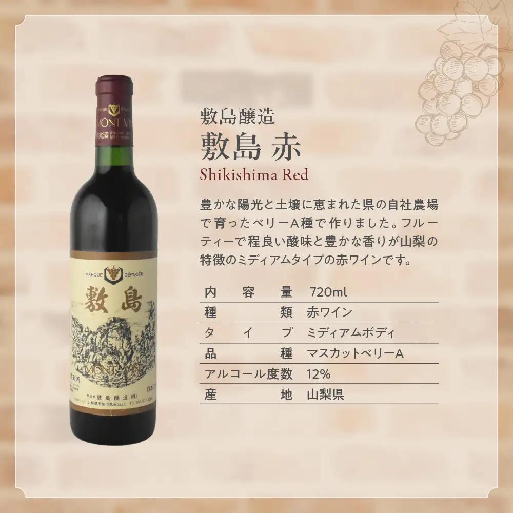 新！甲斐市産赤ワイン3本セット　ワイン 家飲み 赤ワイン 日本ワイン 山梨ワイン 定番 テーブルワイン お酒 サントリー 飲み比べ 山梨県 甲斐市 AD-34