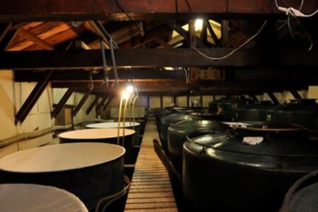 純米酒　松みどり