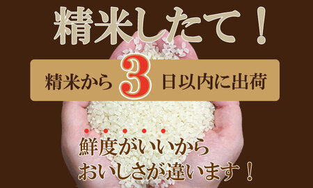 【新米予約】R７年度産（令和７年）特別栽培米 佐賀ブランド 米「 さがびより 」10kg（5kg×2袋）田中農場 精米 白米 10キロ 新米 新米 新米 新米 特A 評価  C280-005