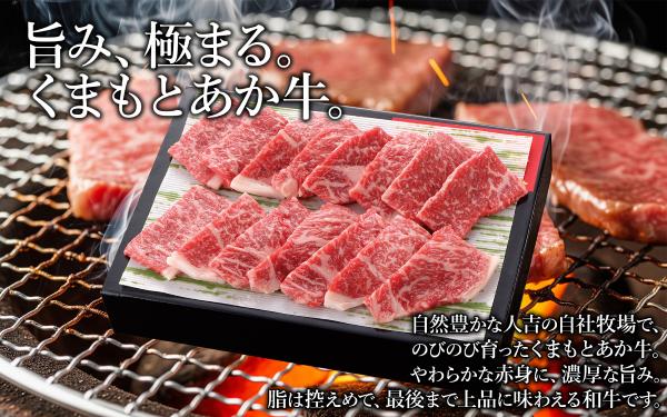 くまもとあか牛焼肉 （肩・肩ロース使用）約250g 肉 牛肉 国産 焼肉 焼き肉 肩ロース 熊本県 水上村
