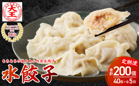 餃子 水餃子 定期便 5回発送 40個（5回発送A）