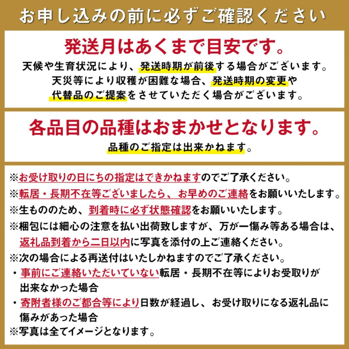 【6回 Bコース】フルーツ定期便 旬のフルーツ[SCB066] 