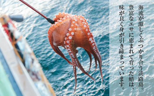 淡路島産地蛸使用　生たこ飯　２合用×３袋セット　　[蛸飯 冷凍]