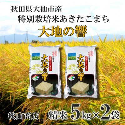 ふるさと納税 大仙市 令和7年産「特別栽培米 秋田県産あきたこまち　大地の響新米　精米10kg(5kg×2)」