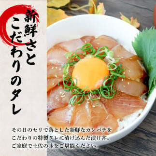 これが魚屋の漬け丼だ！～カンパチ～ 《訳あり》 ８０ｇ×１０P カンパチ かんぱち 漬け丼 漬け どんぶり 丼 10パック 海鮮 魚 真空パック 個食 個包装 冷凍 配送 訳あり 規格外 不揃い_イメ