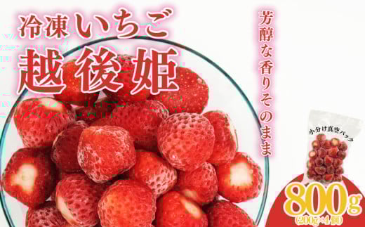 【 冷凍いちご 越後姫 800g 】 200g × 4パック 越後姫 いちご 苺 冷凍苺 かき氷 シャーベット スムージー ヨーグルト 果物 くだもの 人気 冷凍フルーツ フルーツ デザート お菓子 夏 新潟県 新発田市 imagawaya017