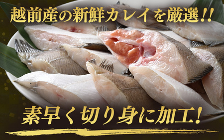 最短5営業日以内発送！使い勝手抜群！福井県網元漁師が厳選！ 肉厚な越前産 カレイ 切り身（無塩）たっぷり満足 計2kg（1kg × 2袋） 焼き魚 煮付け バラ凍結便利 [e15-a032]