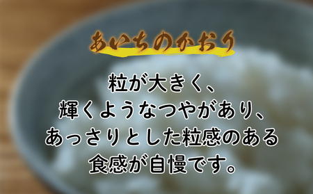 知多米 あいちのかおり 5kg 米 愛知 知多 特産品 南知多