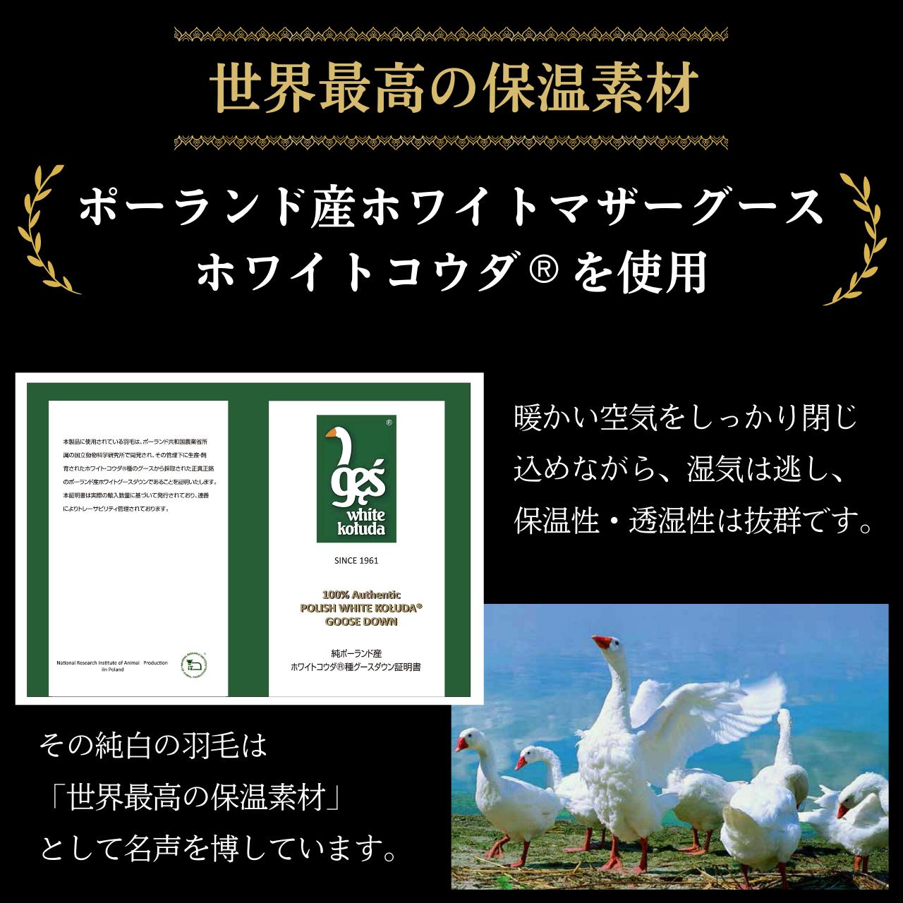 ＜京都金桝＞羽毛布団 シングル 特殊2層キルト(ポーランド産マザーホワイトグースダウン95％ ホワイトコウダ・たっぷり1.2kgふっくら仕上げ) ロジック≪羽毛ふとん 掛け布団 国内再洗浄 DP450