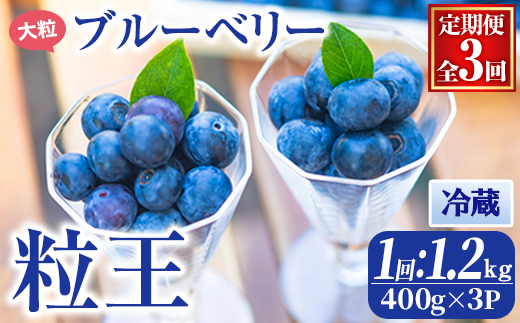 【３回定期便2か月に１回】粒王　冷凍ブルーベリー1.2kg[400ｇ×３P]