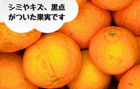 不知火 訳あり それでも 有田の不知火 箱込 2.5kg (内容量約 2.3kg) サイズミックス 和歌山県産 産地直送［みかんの会］