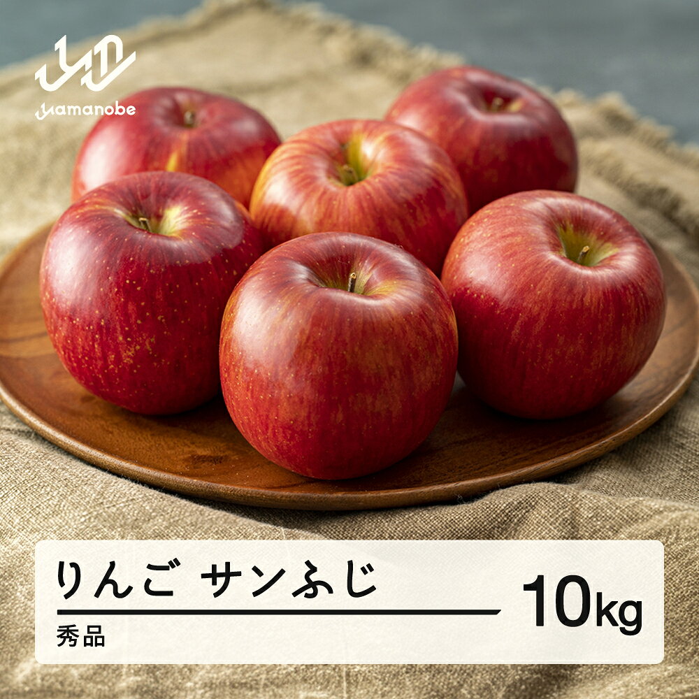 【ふるさと納税】2026年 山形県産 サンふじ りんご 10kg（30玉程度） 秀品 ※沖縄・離島への配送不可 送料無料 sa-risfs10-b
