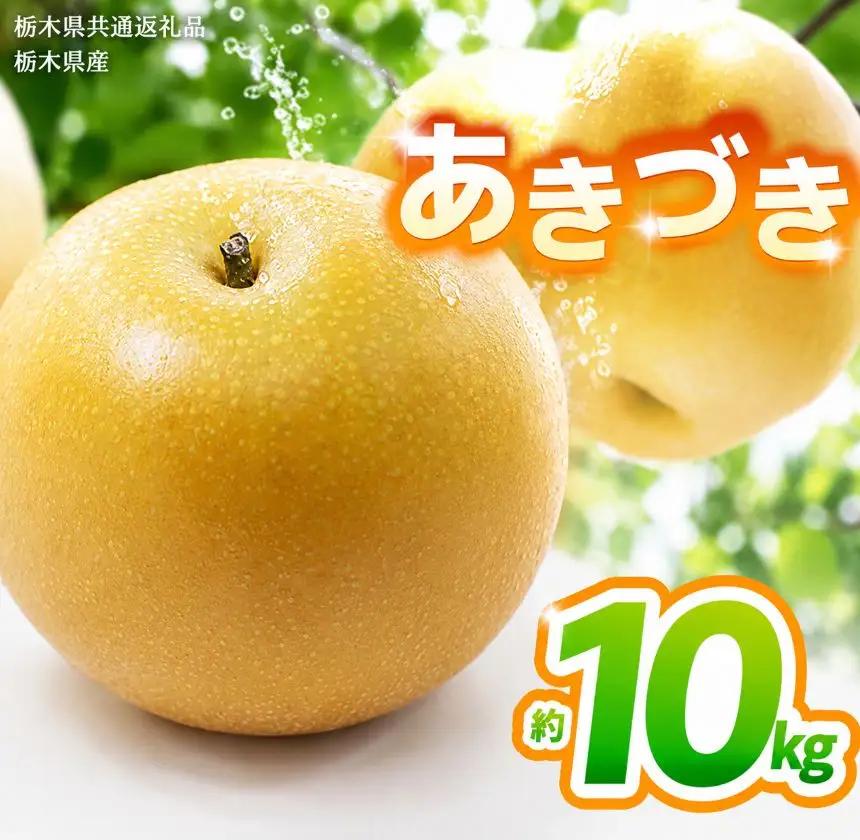 【2027年先行予約】あきづき 約10kg |【栃木県共通返礼品】あきづき 梨 なし ナシ 新品種 先行予約 大粒 新鮮 甘い 美味しい 果物 くだもの フルーツ ふるーつ 共通返礼品 フルーツ デザート 栃木県 那珂川町