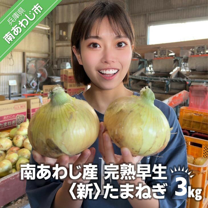 【ふるさと納税】【別所冷蔵】南あわじ産 完熟早生新たまねぎ　3kg　◆配送5月上旬から