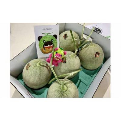 ふるさと納税 夕張市 【先行予約受付中】メロン熊ストラップピンクと夕張メロン大箱8kg(等級:優　4〜6玉入り)W39