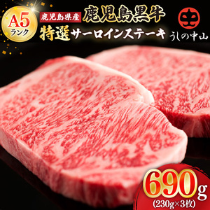 1106-1 鹿児島県産「鹿児島黒牛」A5ランク特選サーロインステーキ690g（230g×3枚） KN050-003 肉 牛肉