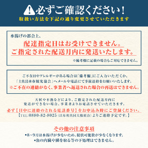 旬の朝獲れ鮮魚詰め合わせ(プレミアム)【2026年7月配送】【以布利定置網 漁師直送】朝獲れ 旬 鮮魚 魚介 海鮮 魚 さかな せんぎょ 鮮魚セット 詰め合わせ おまかせ お任せ【S00819-7】
