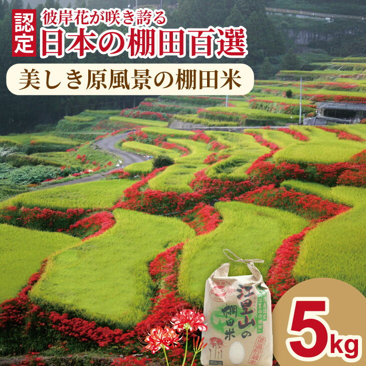 【ふるさと納税】 佐賀県遺産認定「江里山の棚田」のお米（5kg）令和7年産 新米 一等米 精米 白米 ブランド米 お米 白飯 人気 ランキング 高評価 【B150-019】