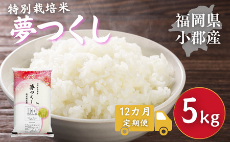 夢つくし 特別栽培米 福岡県産 夢つくし【5kg】【定期便 全12回】