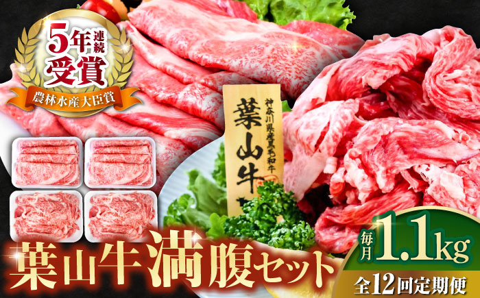 
【全12回定期便】葉山牛満腹セット（肩ロースすき焼用250g×2＋切落し300g×2） 小分け 牛肉 すきやき 冷凍 切り落とし 横須賀 計1.1kg【株式会社羽根】 [AKAG044]
