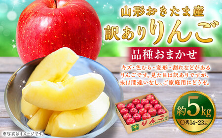 【訳あり】山形おきたま産りんご（中生種）品種おまかせ 〇秀 14玉～23玉 （約5kg） 山形県産 フルーツ 果物 【2026年10月発送】