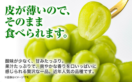 【先行予約】シャインマスカット 2kg(3~5房) フレッシュフーズ 《8月上旬-9月上旬頃出荷》熊本県産(荒尾市産) 柑橘 フルーツ フレッシュフーズ シャインマスカット 果物 美味しいシャインマス