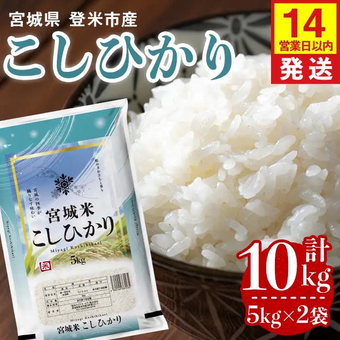 【14営業日以内に発送予定】≪令和7年産≫ コシヒカリ 10kg (5kg×2袋) 登米市産 お米 おこめ 米 コメ こしひかり 白米 ご飯 ごはん おにぎり お弁当 【登米ライスサービス株式会社】tm635