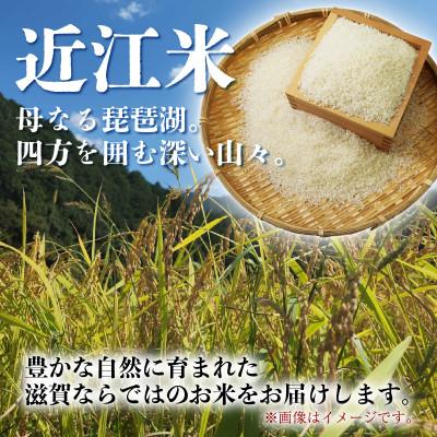 ふるさと納税 彦根市 【毎月定期便】こしひかり 10kg 【滋賀でとれたお米、近江米!】全6回 |  | 01