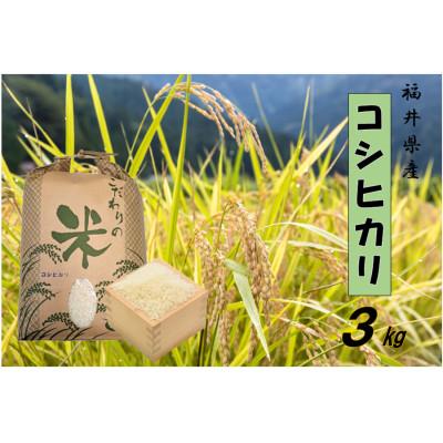 ふるさと納税 越前町 令和8年産　コシヒカリ(精米)　3kg