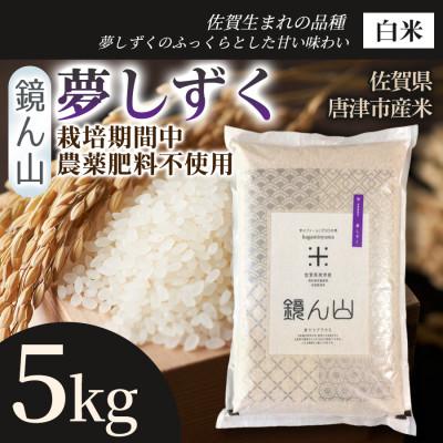 ふるさと納税 唐津市 【ふっくら艶やかな粒】夢しずく(白米) 5kg×1袋