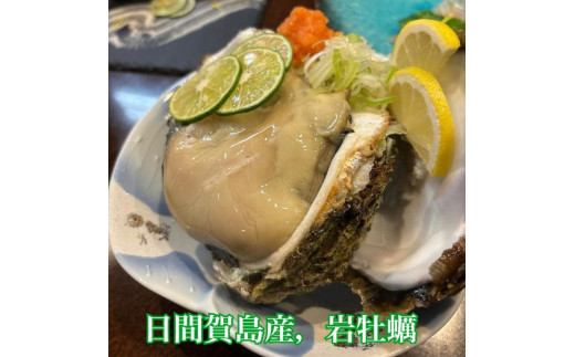 日間賀島産 天然 岩牡蠣 4kg (4~6個) 岩牡蠣 牡蠣 かき 魚貝類 魚貝類 貝 かい 魚介類 海鮮 夕食 ごはん 鮮度抜群 冷蔵 新鮮
