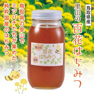 里山の百花蜂蜜