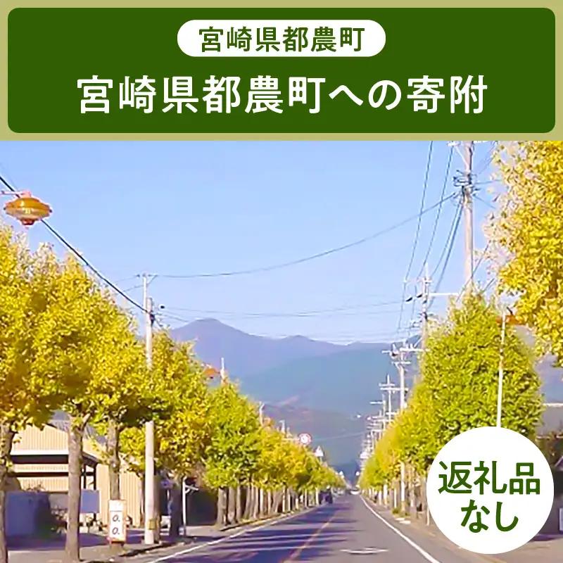 ≪返礼品なし≫宮崎県都農町への寄附【1口 5,000円】T000-001-05