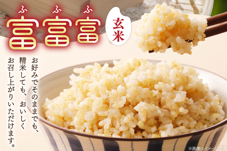 米 令和7年産 富富富 玄米 10kg