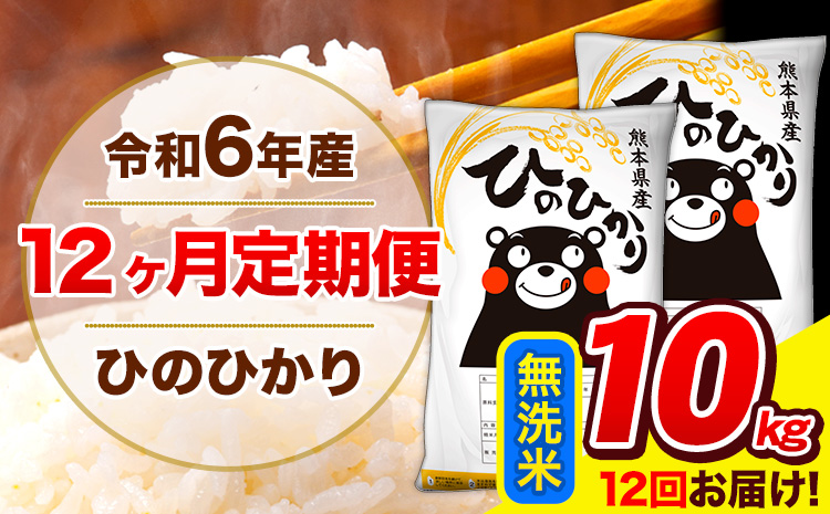 【12ヶ月定期便】令和6年産 ひのひかり  無洗米  10kg (5kg×2袋) 計12回お届け 《お申し込み月の翌月から出荷開始》 熊本県産 無洗米 精米 ひの 米 こめ お米 熊本県 長洲町---hn6tei_354000_10kg_mo12_ng_m---