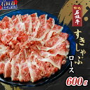 【ふるさと納税】高級 黒毛和牛 石垣牛 すきしゃぶ ロース 600g ｜ ふるさと納税 すき焼き しゃぶしゃぶ 和牛 黒毛和牛 石垣牛 国産 牛肉 ブランド牛 すき焼き しゃぶしゃぶ すきしゃぶ 冷凍 産地直送 沖縄県 石垣市 人気 送料無料 A-4