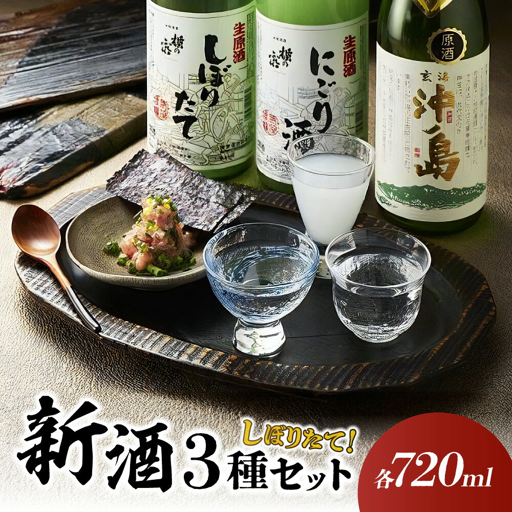 【ふるさと納税】【2027年1月より順次発送】しぼりたて新酒セット【勝屋酒造】_HA1373　送料無料お酒 日本酒 新酒 ご神酒 生原酒 フルーティー フレッシュ にごり酒 季節限定 蔵元より直送