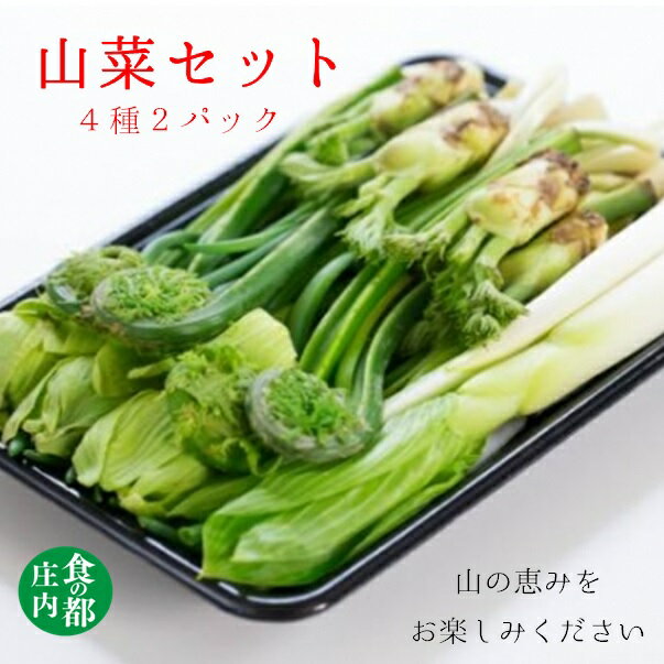 【ふるさと納税】食の都庄内　庄内産季節の山菜セット（4種2パック）（有限会社庄内旬青果）