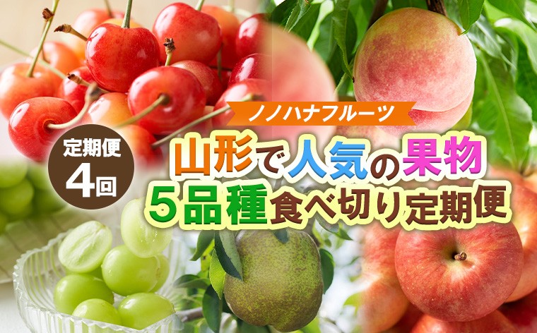 
                  【定期便4回】ノノハナフルーツ 山形市で人気の果物５品種食べきり定期便【令和8年産先行予約】FS25-077
                