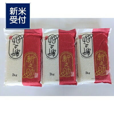 【ふるさと納税】【新米受付・令和8年産米】新潟県村上市 新之助 6kg（2kg×3個）【鮮度直送！精米したてを真空パック】 精米 白米 ご飯 ごはん 新潟県 村上市 NA4220