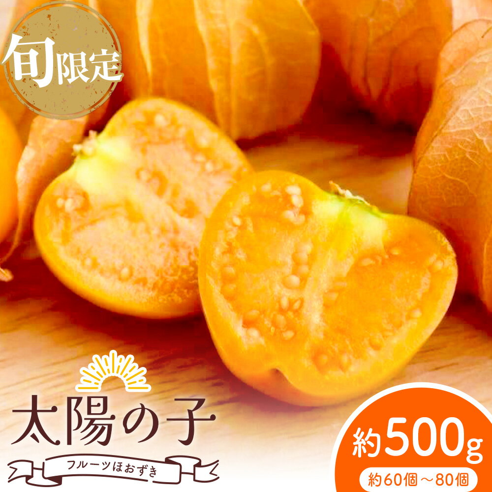 【ふるさと納税】先行予約 フルーツほおずき 太陽の子 約500g 60～80個 のざわ農園 2026年 10月出荷 北海道 日高町産 食用 希少 果物 フルーツ 果実 スイーツ デザート 贈り物 ギフト 贈答用 健康 美容 ビタミン 産地直送 旬 送料無料 《10月上旬-11月上旬出荷》
