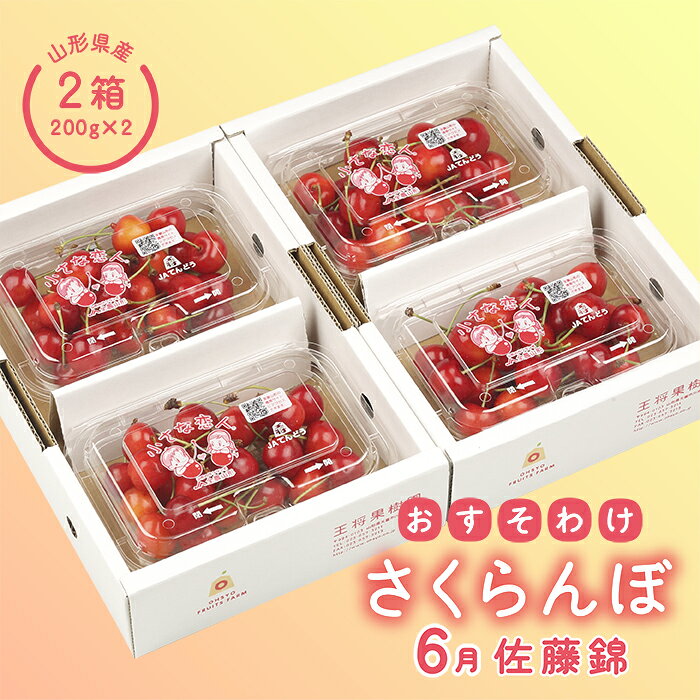 【ふるさと納税】【2027年先行予約】おすそ分けさくらんぼセット6月 FSY-0061