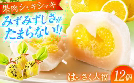 【お中元ギフト対象】フルーツ大福 はっさく大福 12個 入 お菓子 大福 八朔 柑橘 みかん オレンジ 餅 ギフト お取り寄せ スイーツ フルーツ大福 ご当地 菓子 おかし デザート 食品 人気 おすすめ 広島県福山市/株式会社虎屋本舗 はっさく 八朔 フルーツデザート お土産 生菓子 和菓子 プレゼント 甘味 甘党 広島 福山 白あん 甘さ控えめ 　[BADH012]