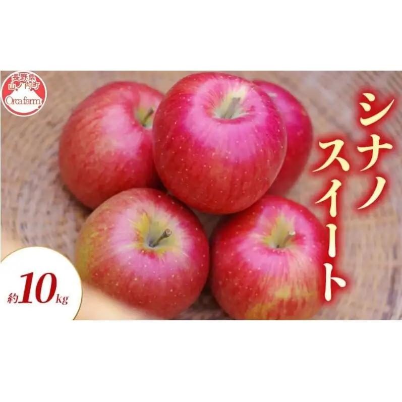 りんご シナノスイート 10kg りんご