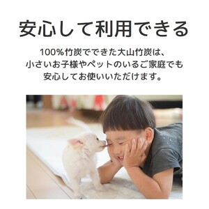 KR-10　鳥取県産 大山 竹炭 大袋 4袋セット 除湿 消臭 湿気対策 誠守（まさもり）