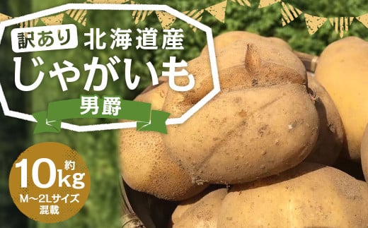 【訳あり】北海道産 じゃがいも 男爵 M～2Lサイズ混載 約10kg 1箱 山田農場 ジャガイモ 芋 いも イモ 訳アリ わけあり ワケアリ 国産 【2025年9月下旬-2026年3月上旬迄発送予定】