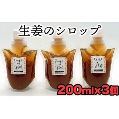 ふるさと納税 臼杵市 料理の調味料としても使える生姜シロップ(計600g)